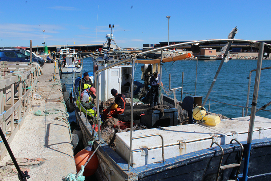 El Ple de l'Ajuntament de Sagunt mostra el seu suport al sector pesquer