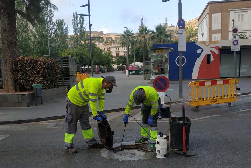 El departament de Sanitat continua amb la campanya de desratització i desinsectació