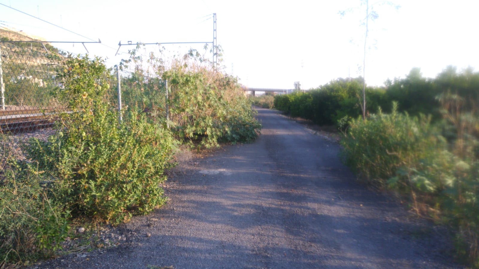 El Consell Agrari contracta cinc aturats agraris per a realitzar actuacions mediambientals en el camí dels Rolls