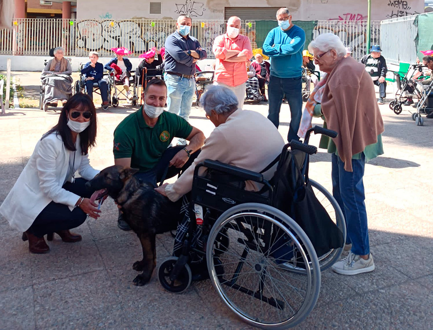 La segona jornada del contracte de recollida d'animals s'ha desenvolupat en la residència 3a edat del Port de Sagunt