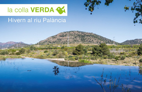 La Colla Verda comienza 2018 con nuevas acciones medioambientales en el río Palancia