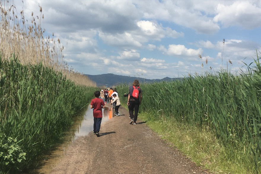 Obert el termini de sol·licitud per a col·legis i instituts per a visitar La Casa Penya i conéixer la importància de conservar la Marjal d’Almardà-Almenara