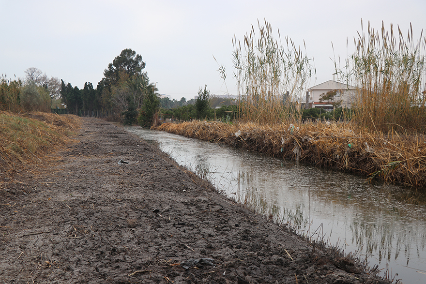 Conclou la primera fase de les tasques d'eliminació de canyars en les séquies del Rei i Gabau