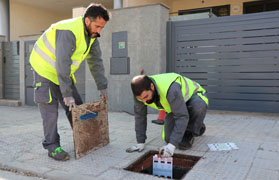 Sagunt inicia la prova pilot del tractament insecticida contra les panderoles americanes