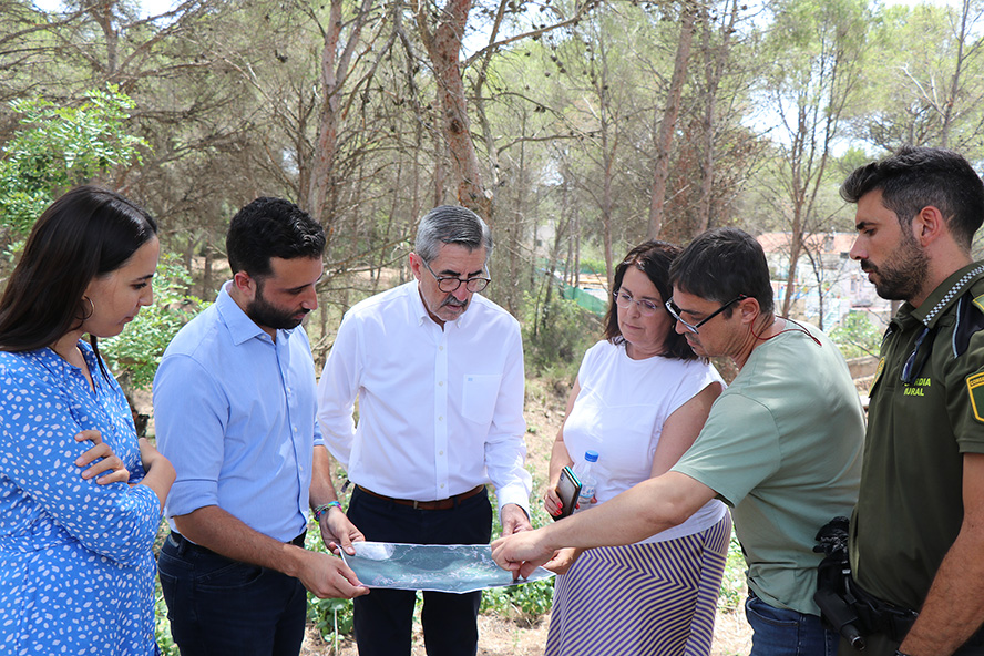 Finalitzen les actuacions forestals de prevenció d'incendis i millores en les zones de Bonilles i Romeu