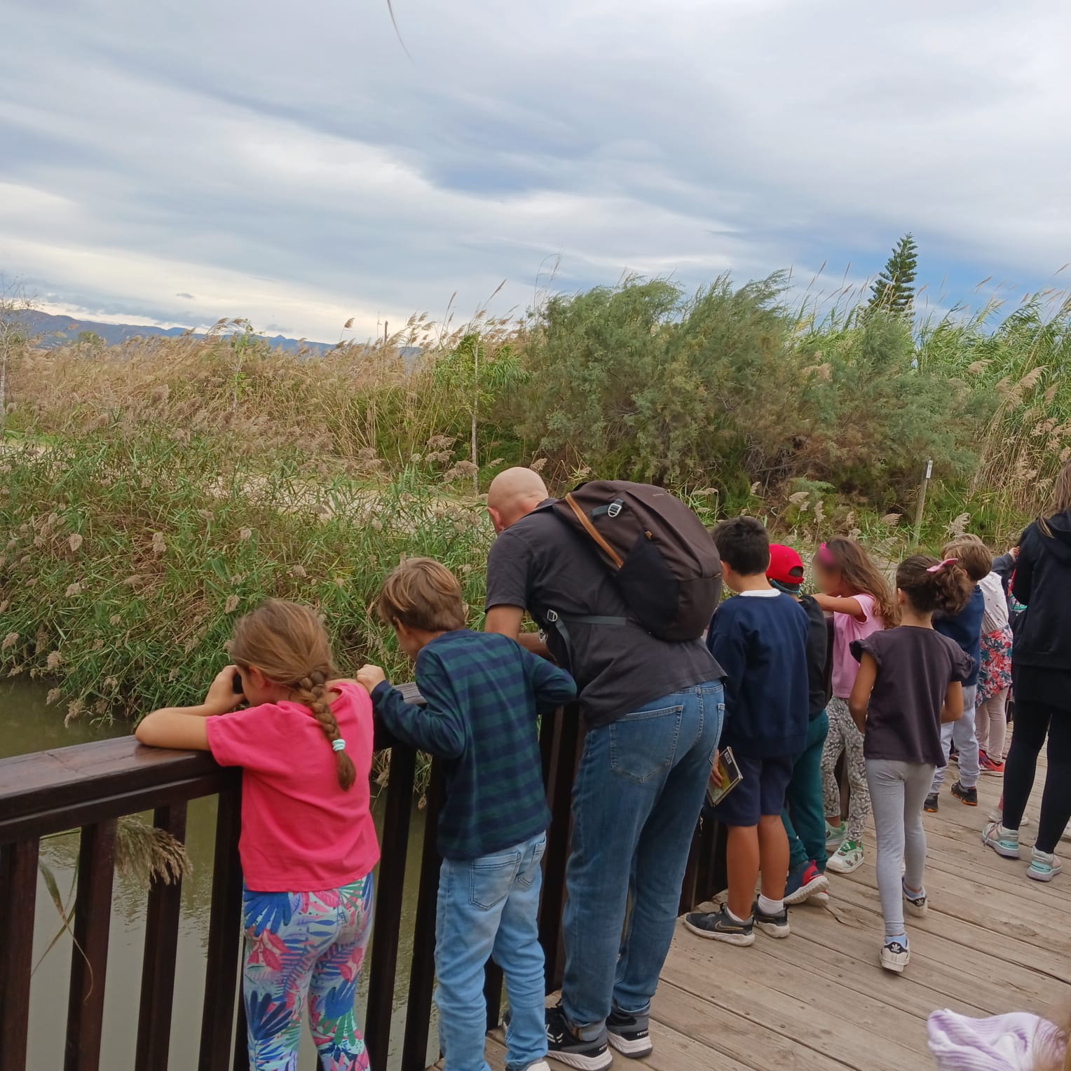 Este curs els col·legis i instituts podran visitar La Casa Penya i descobrir la Marjal d’Almardà-Almenara