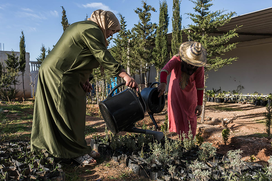 'El alimento que nos une', una muestra del papel de las mujeres rurales en la sostenibilidad  socioecológica de Marruecos