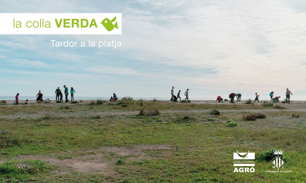 La Colla Verda anima la ciutadania a pintar de verd la platja del Pantalà