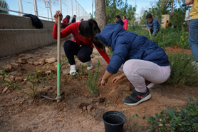 Los colegios vuelven a celebrar el Día Escolar del Árbol dentro del Programa Municipal de Medio Ambiente 