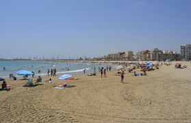 Quico Fernández: “Sagunt no va a consentir que es perda ni un sol metre de la nostra platja per a recuperar una altra platja del nord”