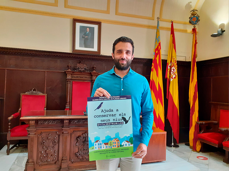 La regidoria de Medi Ambient posa en marxa una campanya de conscienciació per a protegir els nius d'oronetes i ratapinyades