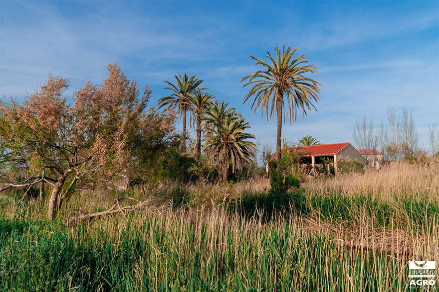 Diumenge que ve, 21 de març, tornen les visites guiades a La Casa Penya