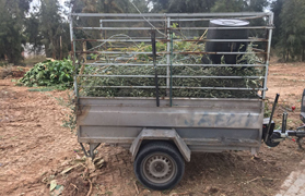 La Policía de Barrios identifica en Almardà a dos personas por lanzar restos de poda en vertederos incontrolados