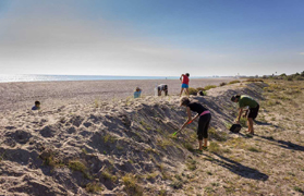 La Colla Verda organiza una nueva campaña de voluntariado en las playas de Sagunto