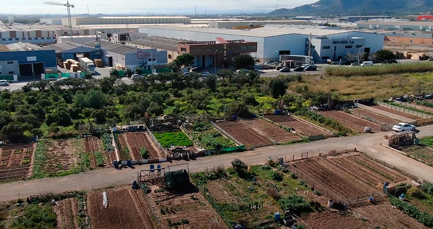 La concejalía de Agricultura ha abierto la convocatoria para cultivar huertos urbanos