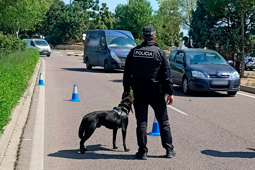La Unitat Canina de la Policia Local de Sagunt fa una gran faena en la prevenció del consum d'estupefaents