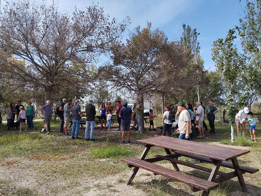 La Casa Penya acomiada el 2024 amb un taller per a investigar quins tresors naturals amaga la marjal