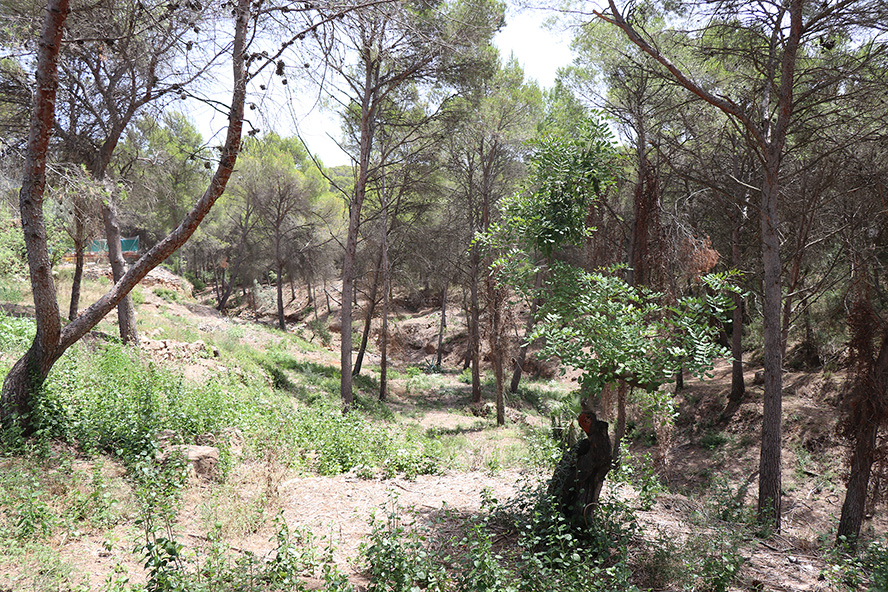 L'Ajuntament de Sagunt denuncia que la Generalitat incomplix el seu compromís d'establir a la ciutat una unitat de bombers estival