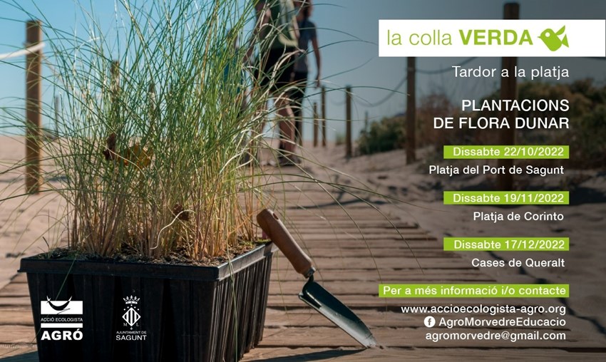 Cartel de la actividad