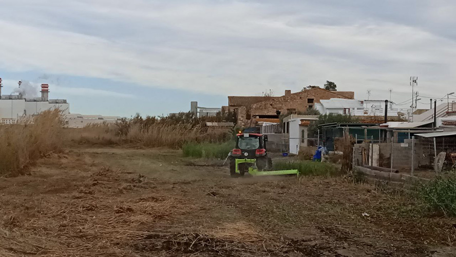 El Consell Agrari finalitza les actuacions de neteja i desbrossament de la faixa perimetral del Grau Vell