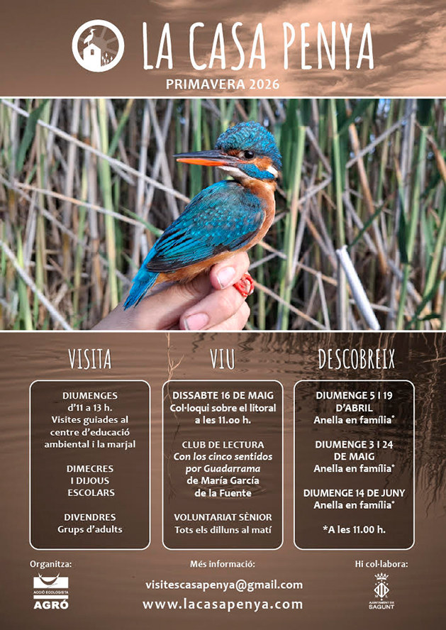 Viu la Marjal: Coloquio sobre la conservación del litoral + exposición 'Yo sí te veo' de Majo Giner