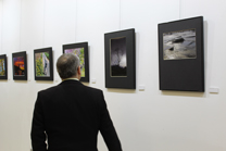 El Grupo Fotográfico ARSE presenta “Naturaleza” en el Mario Monreal 