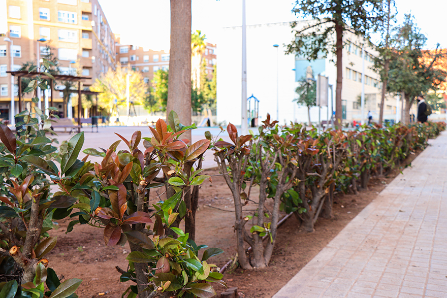 El regidor de la SAG, Roberto Rovira, visita els treballs de jardineria realitzats en la plaça Manuel Azaña del Port de Sagunt