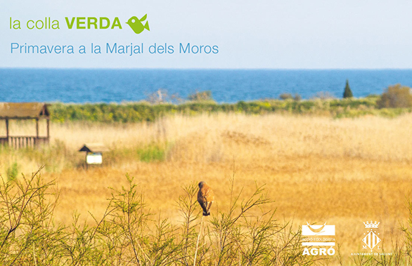 La Colla Verda vuelve a la Marjal dels Moros con tres nuevas iniciativas