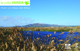 La Colla Verda convoca la ciutadania a col·locar caixes niu per a rates penades en la Marjal dels Moros dissabte 25 de gener