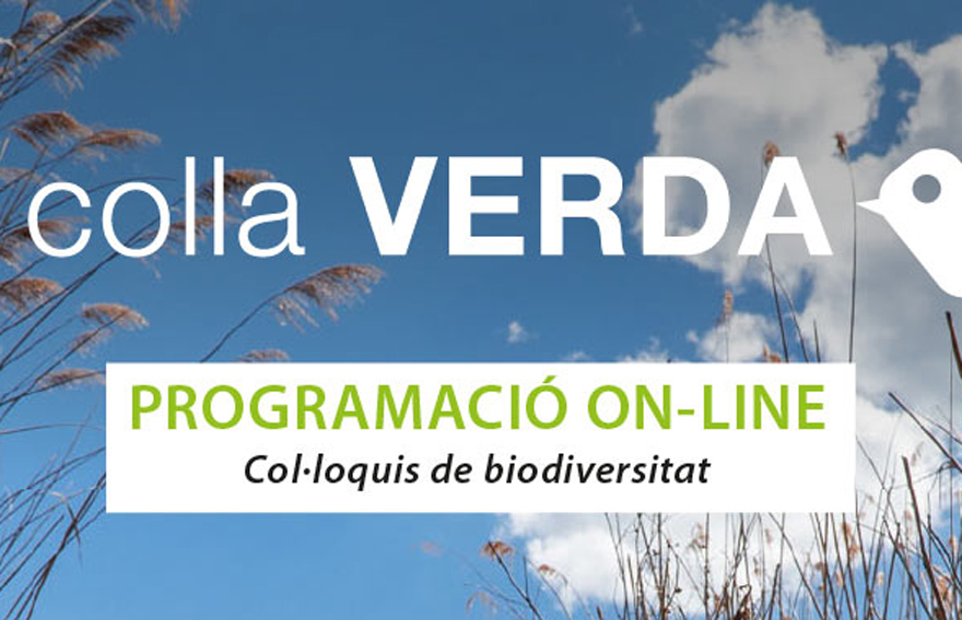 L'Ajuntament de Sagunt i Acció Ecologista-Agró aposten per l'educació ambiental en línia durant el confinament per la COVID-19