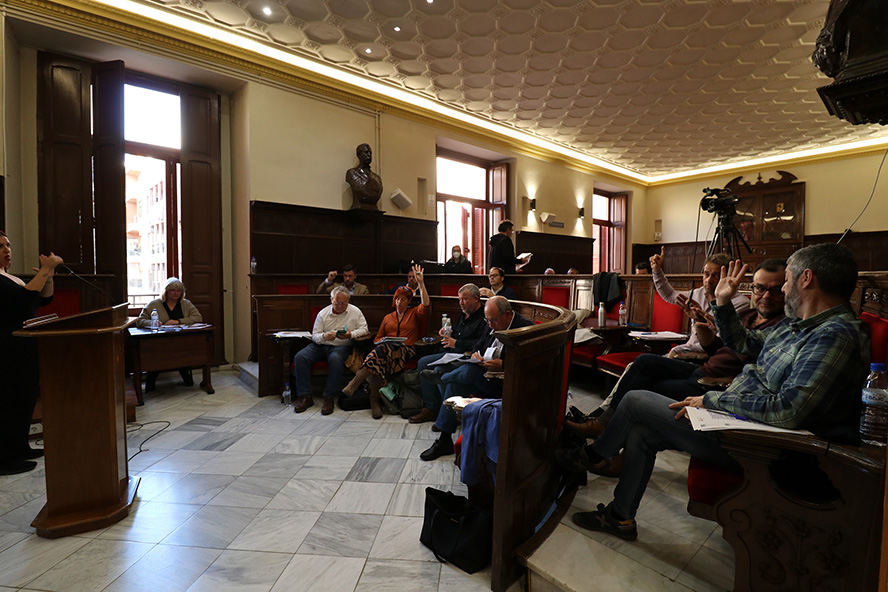 Unanimitat pel Dia Mundial de la Síndrome de Down