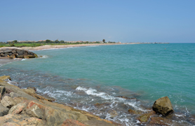 Recomendaciones en caso de presencia de medusas en las playas