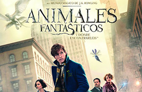 El Casal Jove proyecta la película ‘Animales fantásticos y dónde encontrarlos’ hoy viernes 26 de abril