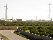 L'Ajuntament de Sagunt i Diputació de València impulsen el Banc de Terres