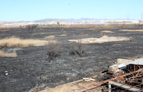 El alcalde de Sagunto pide mayor implicación de las administraciones después del incendio de la Marjal dels Moros