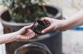 La Casa Penya organiza actividades para disfrutar del marjal 