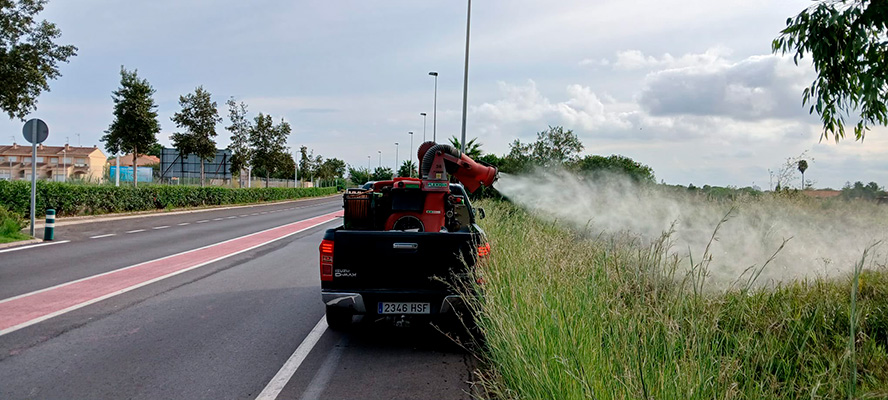 Sagunto refuerza los tratamientos contra los mosquitos ante las lluvias de octubre