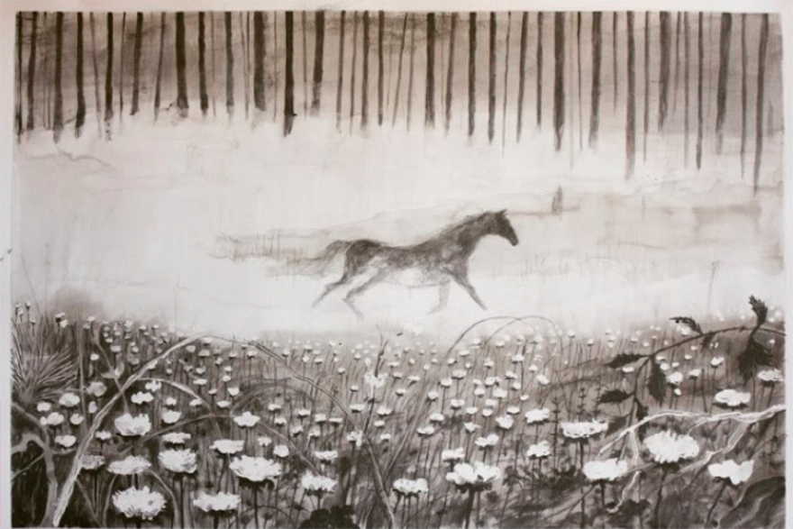 L'exposició Tierra Baldía es podrà visitar en el Centre Cultural Mario Monreal del 10 al 25 de maig