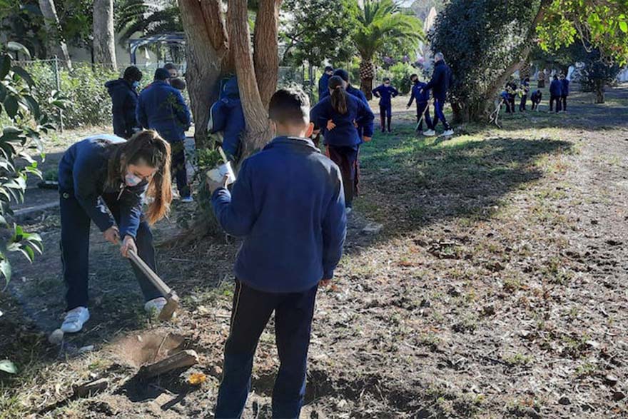 Els col·legis de Sagunt celebren de nou el Dia Escolar de l’Arbre