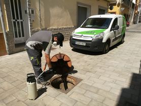 El tratamiento contra cucarachas, mosquitos y ratas continúa a partir de lunes en Puerto de Sagunto