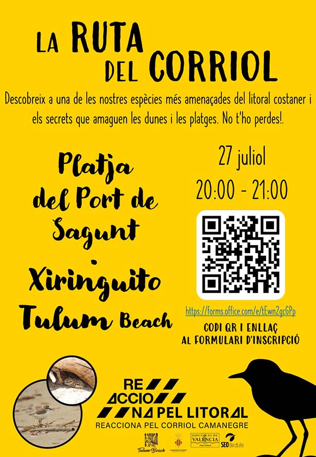 La regidoria de Platges organitza una ruta per a conéixer el corriol a la platja del Port de Sagunt