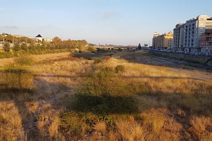 La Junta de Govern de l'Ajuntament de Sagunt ha aprovat el projecte per a la millora ambiental del llit del riu Palància al seu pas pel nucli urbà