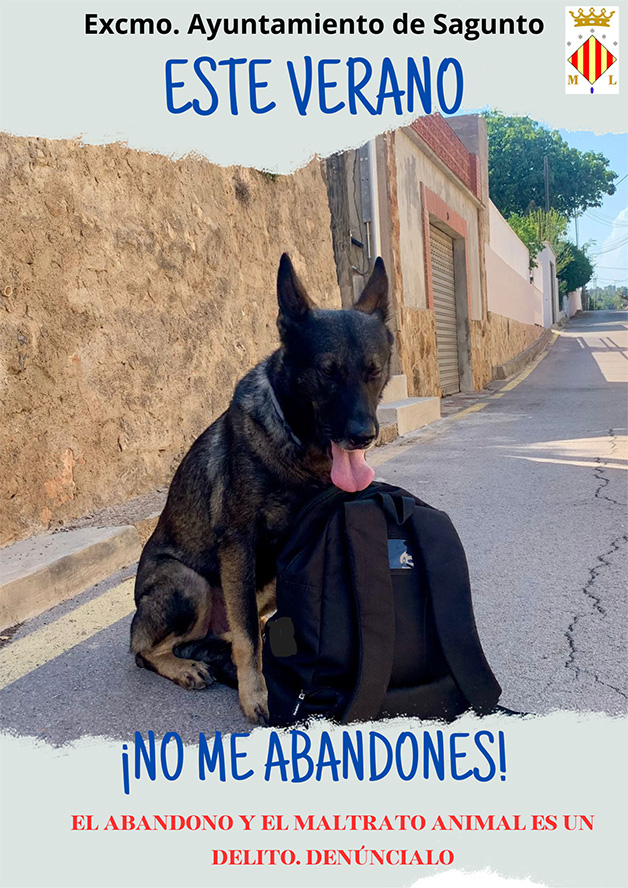 El departament de Sanitat i Benestar Animal informa la ciutadania sobre el protocol a seguir en cas de trobar-se un animal extraviat