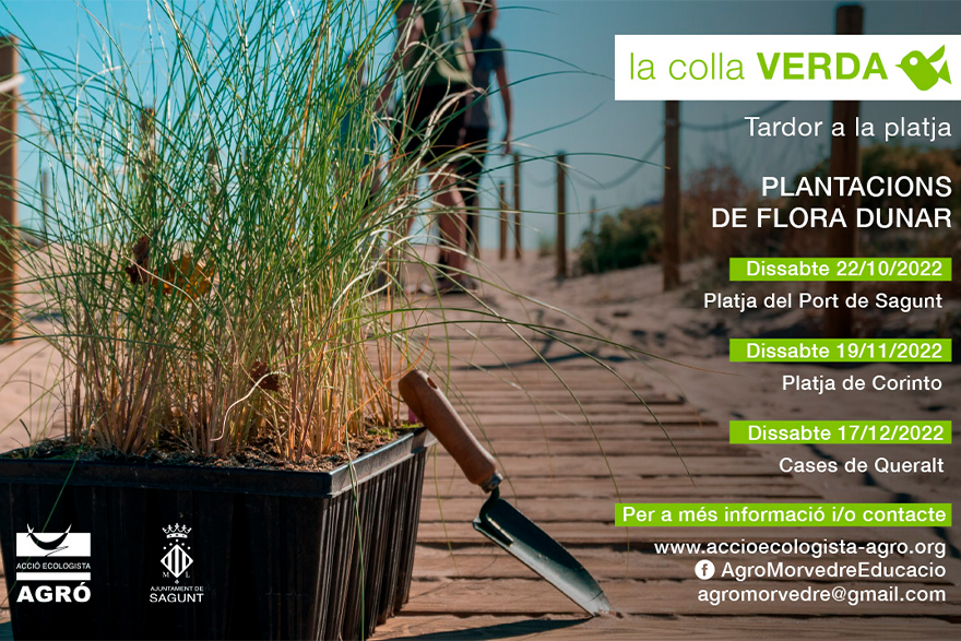 La Colla Verda torna de vacances per pintar de verd les platges de Sagunt