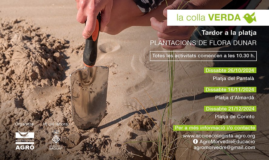 Torna La Colla Verda per pintar de verd les platges de Sagunt