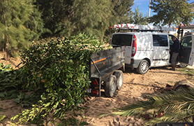 Nueva denuncia en Almardà por depositar restos de poda en zona no autorizada