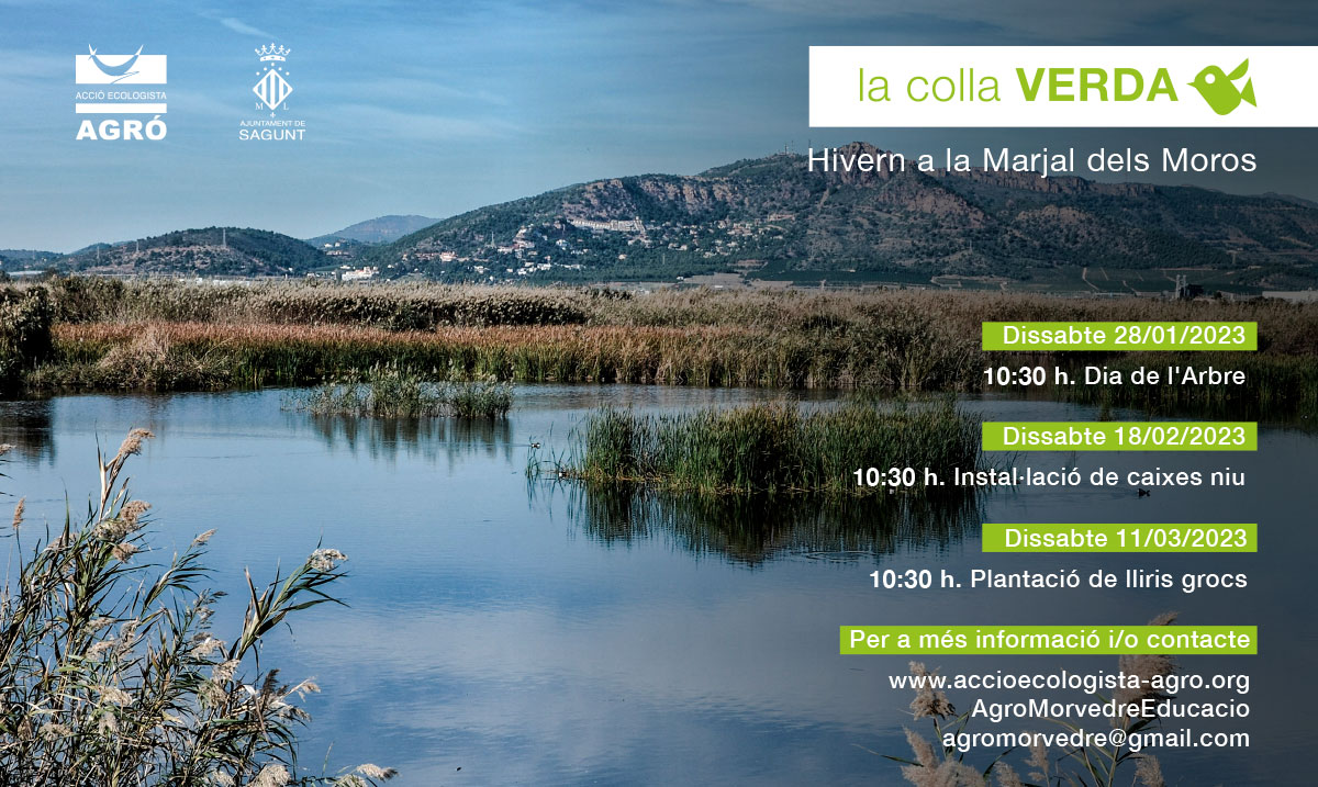 La Colla Verda programa voluntariats a la Marjal dels Moros
