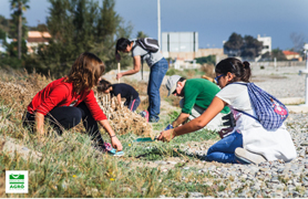 La Colla Verda repuebla las dunas de Almardá con flora autóctona