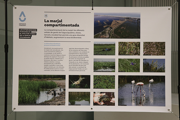 El Centro Cultural Mario Monreal ha inaugurado la exposición ‘Les intervencions humanes en el cicle de l’aigua de la marjal d’Almenara’ 