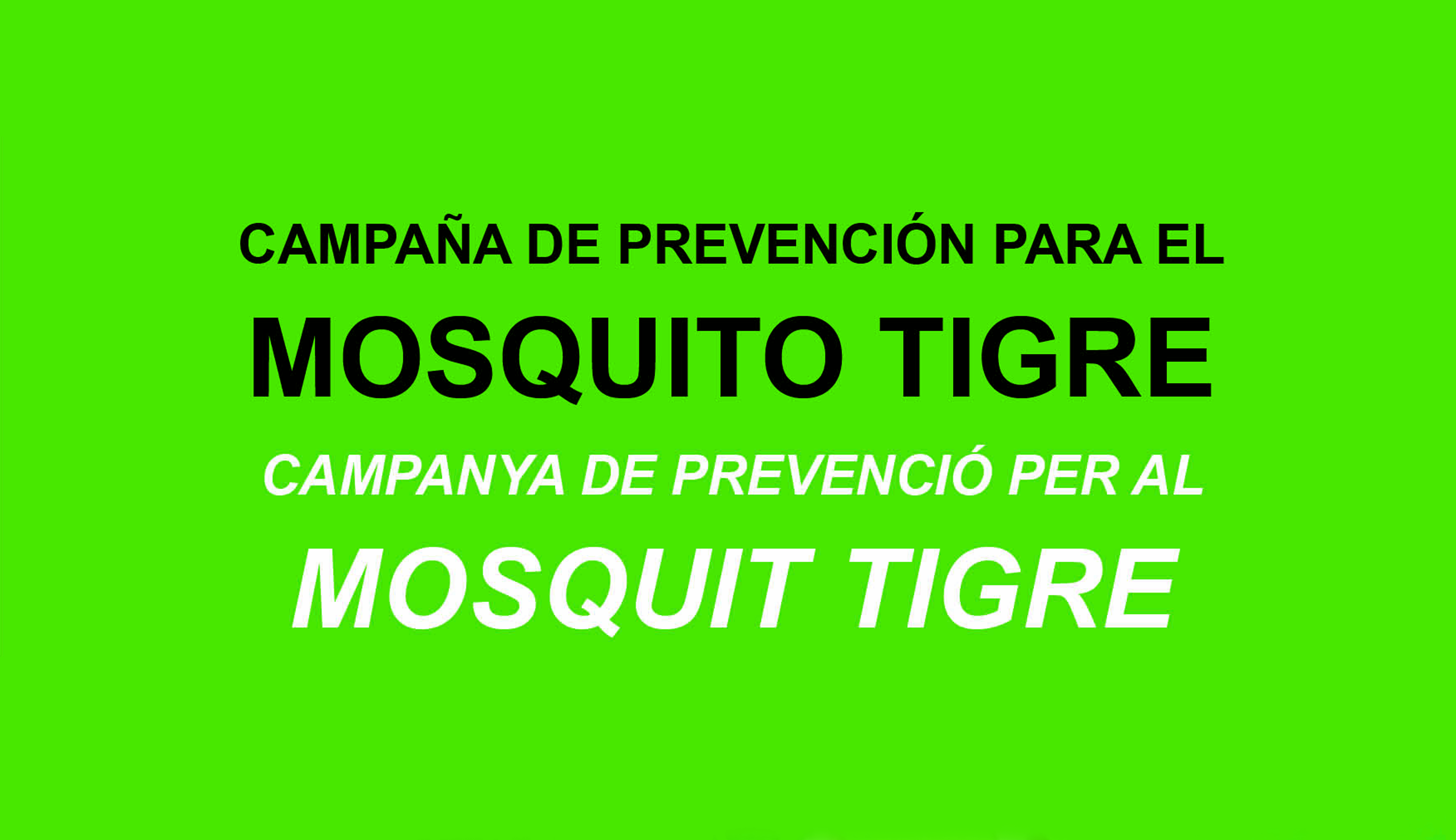 Tres charlas informativas sobre el mosquito Tigre serán impartidas desde el departamento de Sanidad del Ayuntamiento de Sagunto